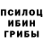 Псилоцибиновые грибы Psilocybine cubensis Lev Golan