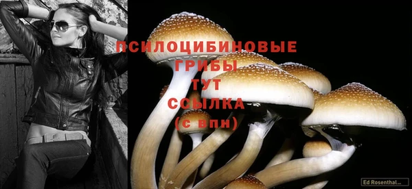 эйфоретик Алексин
