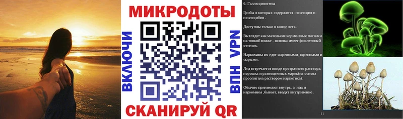 Псилоцибиновые грибы мицелий  blacksprut ТОР  Тамбов 