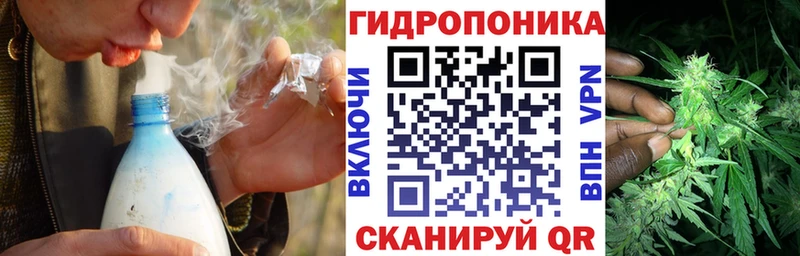кракен онион  даркнет сайт  Тамбов  Канабис ГИДРОПОН 